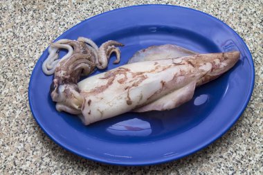 Masanın üzerinde squid ile plaka