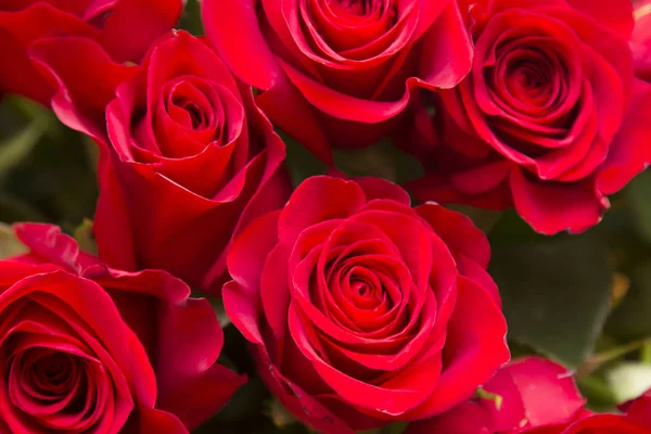 Bouquet Rose Rosse Fresche — Foto Stock