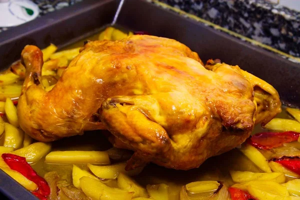 kızarmış tavuk patates ve biber ile