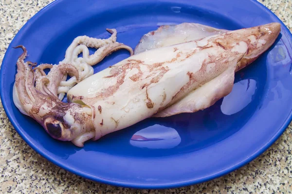 Plate Squid Table — Stock Photo, Image