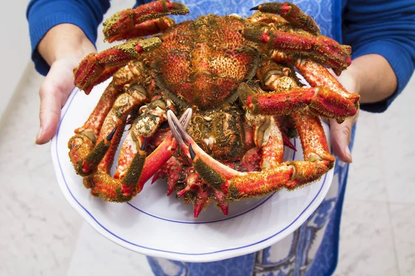 Hände Halten Gericht Mit Meeresfrüchten Krabben — Stockfoto