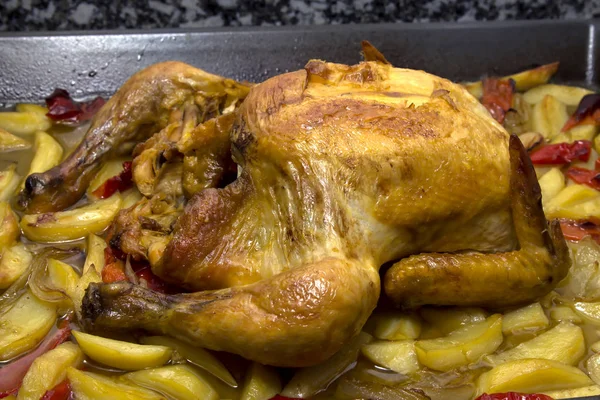 kızarmış tavuk patates ve biber ile