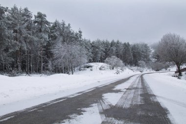 karlı manzarada dağına
