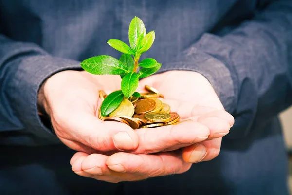 hand with coins and young plant, business concept