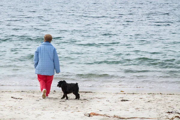 妇女与她的狗在海滩上散步 休闲和放松的概念 — 图库照片