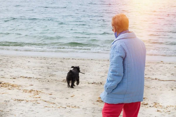 Mujer Paseando Con Perro Playa Concepto Ocio Relajación — Foto de Stock