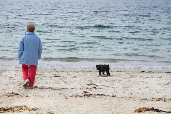 Γυναίκα Σκυλί Της Στην Παραλία Αναψυχής Και Χαλάρωσης Έννοια — Φωτογραφία Αρχείου