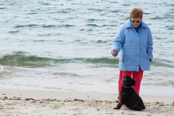 Seniorin Spielt Mit Hund Strand — Stockfoto