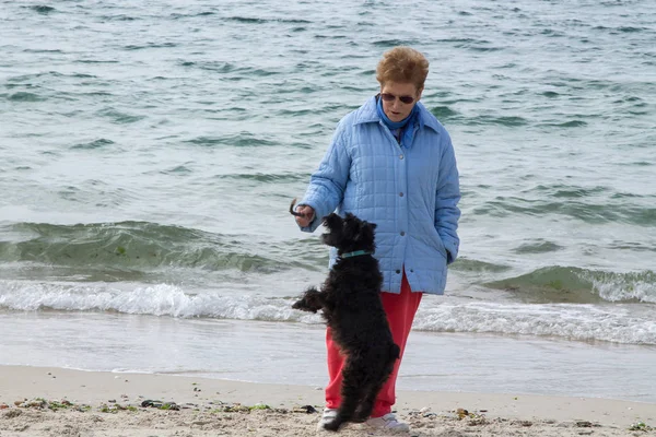 Herrchen Mit Hund Spielt Strand — Stockfoto