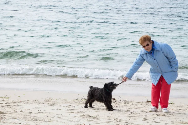 Herrchen Mit Hund Spielt Strand — Stockfoto