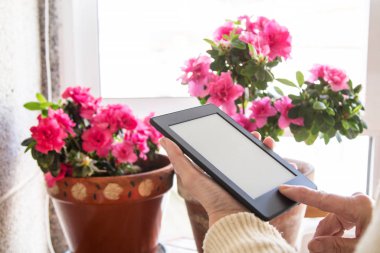 Evde dijital tablet ya da dizüstü bilgisayarlı yaşlı kadın