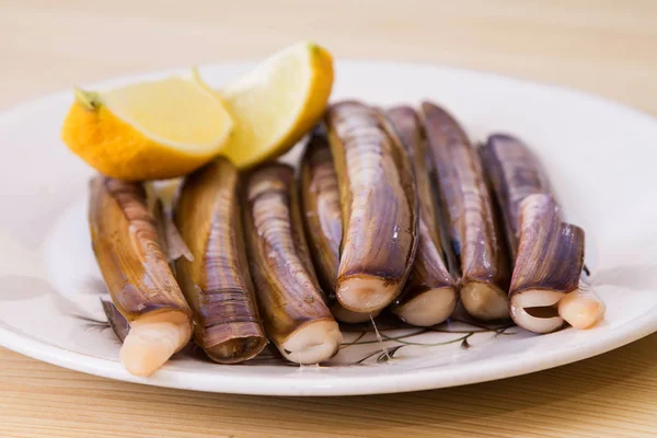 Fresh Razor Clam Dish Seafood — Stock Photo, Image