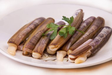 Taze jilet tabağı, deniz ürünleri.