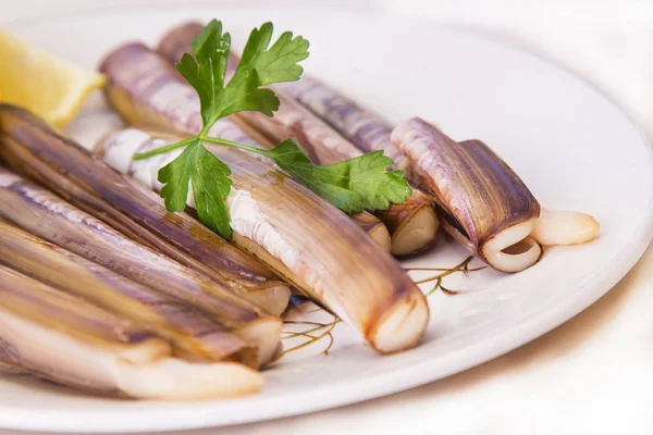 Dish Razor Clams — Stock Photo, Image