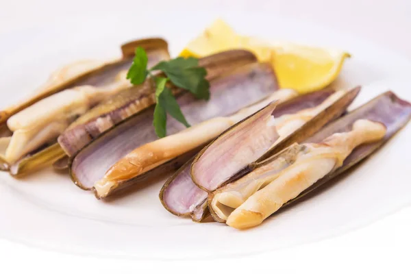 Блюдо Бритвенных Моллюсков — стоковое фото