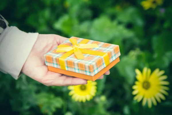 Hand Mit Geschenkverpackung Und Margeriten Hintergrund Grußkarte — Stockfoto