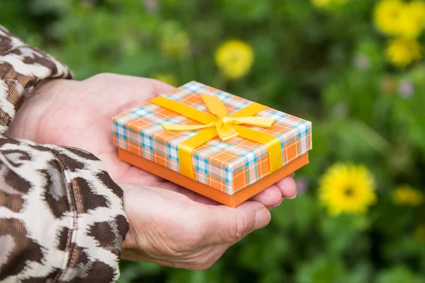 Hand Met Cadeaupakket Madeliefjes Achtergrond Wenskaart — Stockfoto