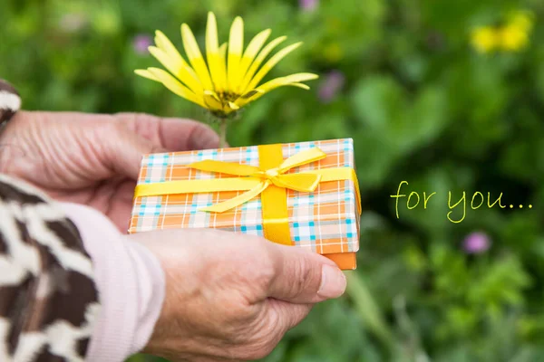 Hand Mit Geschenkverpackung Und Margeriten Hintergrund Grußkarte — Stockfoto