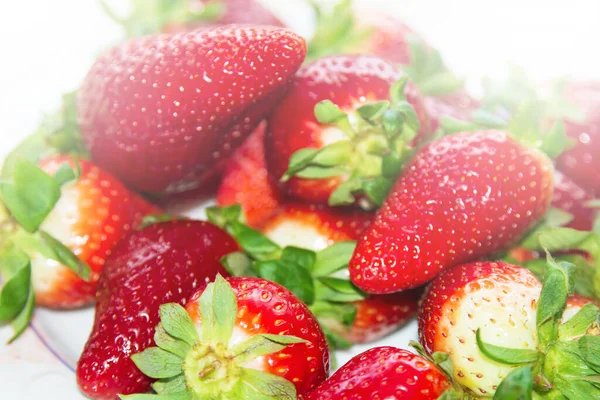 Fresas Orgánicas Frescas Planta Con Trozos Fresas Jugosas Frutos Picados — Foto de Stock