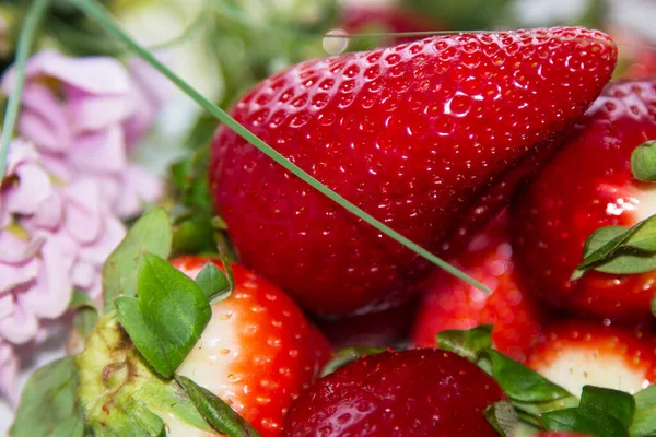 Cerrar Fruta Fresca Fresa Natural Fresas Frescas Primavera — Foto de Stock