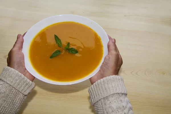 Wanita Memegang Semangkuk Sup Sayuran — Stok Foto
