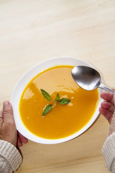 Mujer Sosteniendo Tazón Sopa Con Cuchara — Foto de Stock