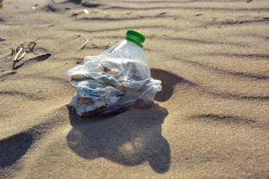 Plastik şişe kirliliği kumlu bir sahilde.