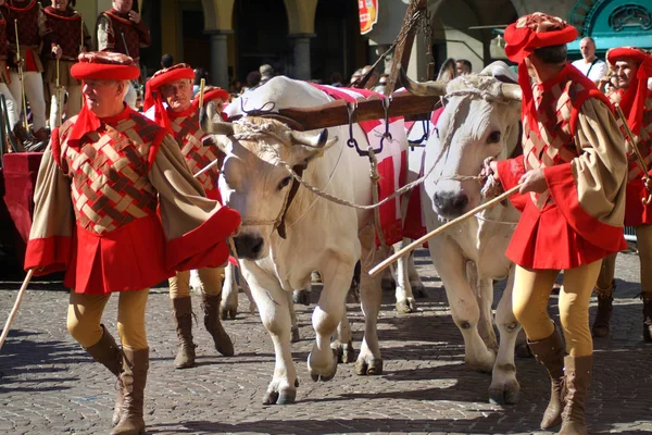 Asti, piemont, italien -20.09.2015- Palio ist ein traditionelles Fest mittelalterlichen Ursprungs und Ausstellung von Fahnenschwingern, historischer Prozession und dem Palio bareback Pferderennen — Stockfoto