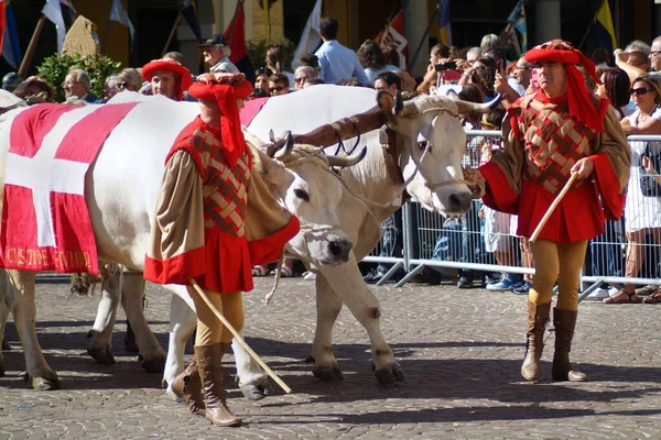Asti Piémont Italie 2015 Palio Est Festival Traditionnel Origines Médiévales — Photo