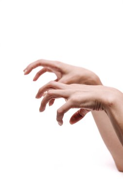 Kadın elleri beyaz arkaplanda