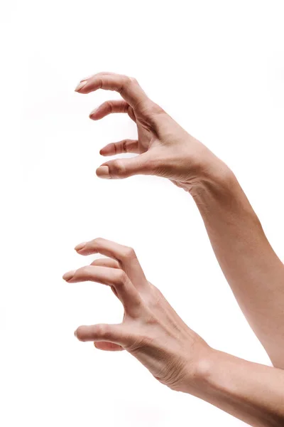 Kobieta ręce na białym tle — Zdjęcie stockowe
