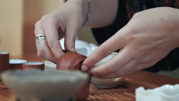 Female hands clean tea cup — Stock Video