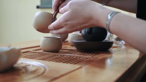 Weibliche Hände reinigen Teetassen — Stockvideo