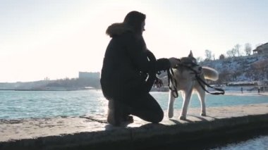husky sahil üzerinde oynamaktan kadın 