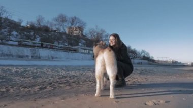 husky sahil üzerinde kadınla 