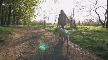 Labrador içinde yeşil Park kadınla