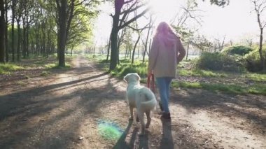 Labrador içinde yeşil Park kadınla
