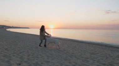 Labrador kadınla sahil üzerinde