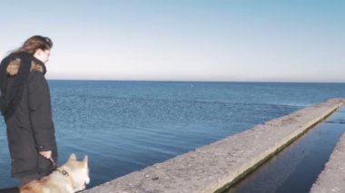 husky sahil üzerinde kadınla 