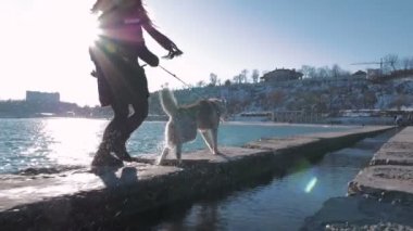 Husky ile çalışan kadın