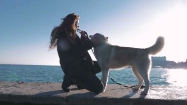 Husky ile oynayan kadın
