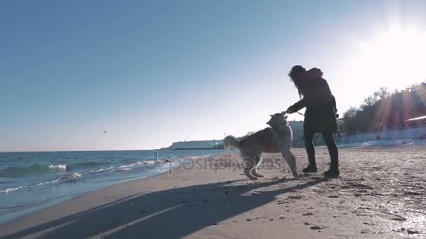 Woman running with husky — Stock Video