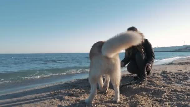 Женщина играет с Хаски на берегу моря — стоковое видео
