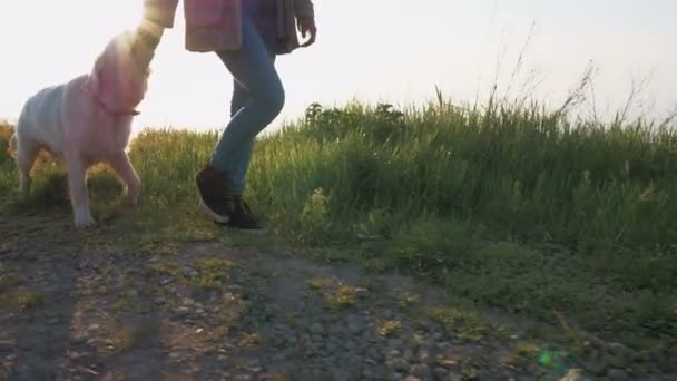 Woman with Labrador Retriever Dog — Stock Video