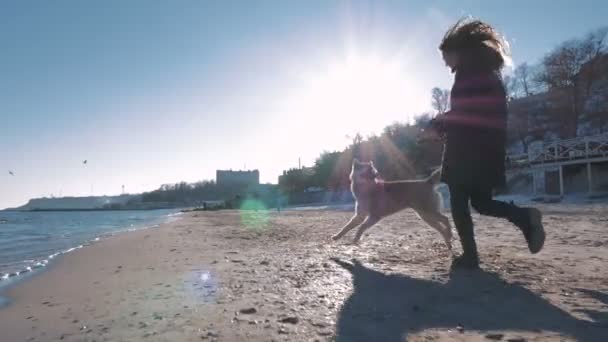 Frau läuft mit Husky — Stockvideo