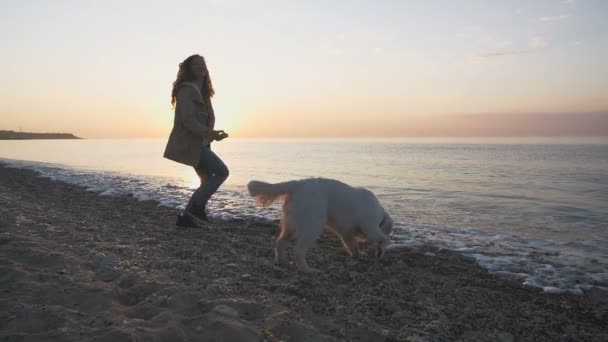 Mujer con perro labrador retriever — Vídeo de stock