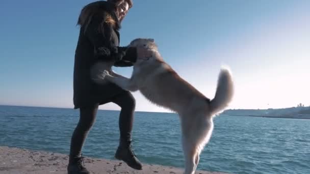 Женщина играет с Хаски на берегу моря — стоковое видео