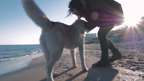 Žena s husky na pobřeží — Stock video