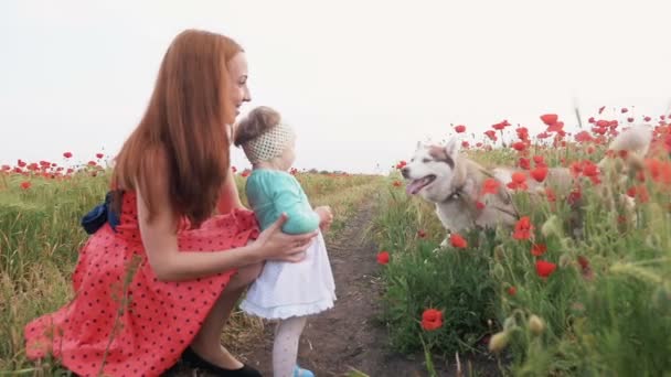 有女儿和狗的女人 — 图库视频影像