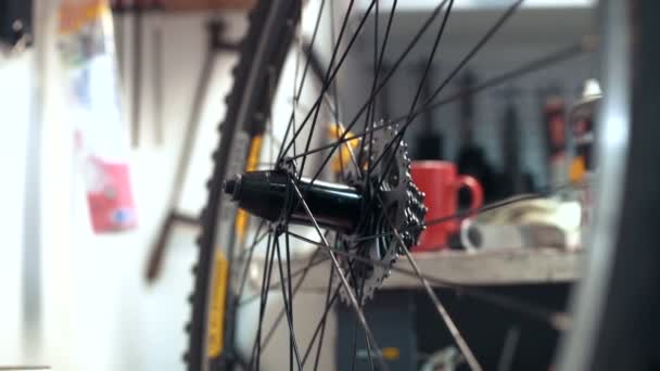 Mann repariert Fahrrad in Garage — Stockvideo